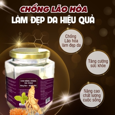 Cao Đông Trùng Hạ Thảo Hồng Sâm Nghệ Đen